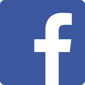 Facebook Created in 2004 1.23 billion active users Features: Status updates, picture sharing, instant messenger, networking groups, event publicity, business pages, games. 