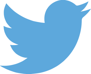 Twitter Created in 2006 232 million users Features: 140 character status updates, picture sharing