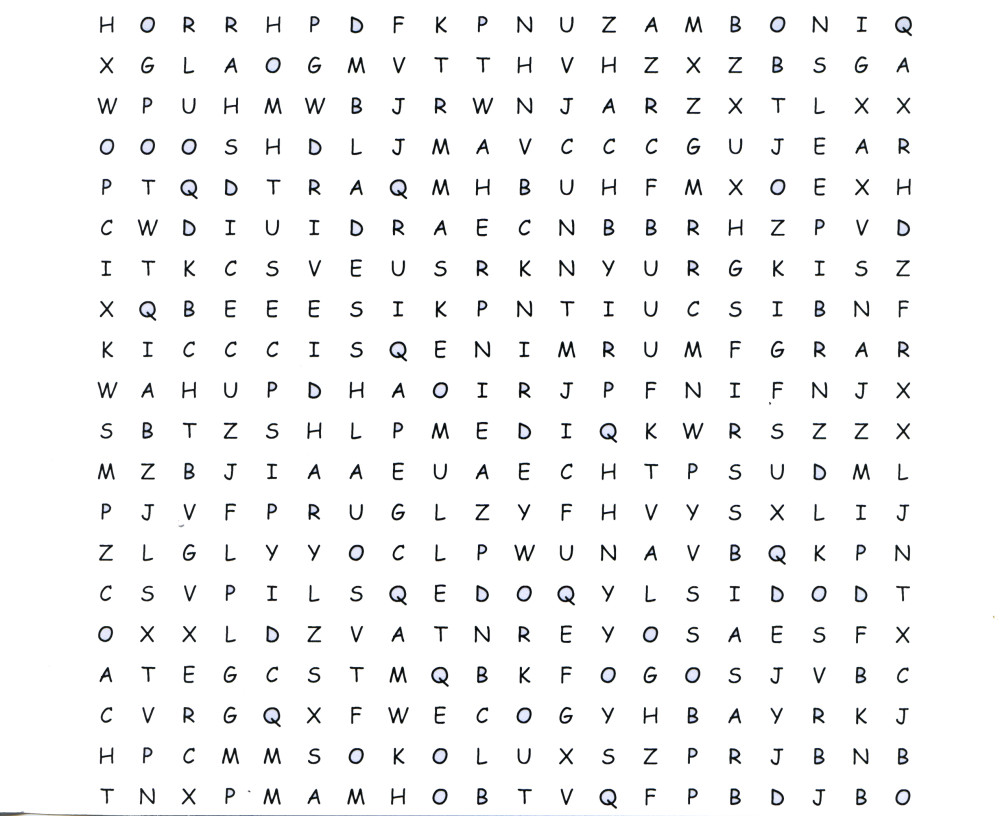Issue 13 Word search edited