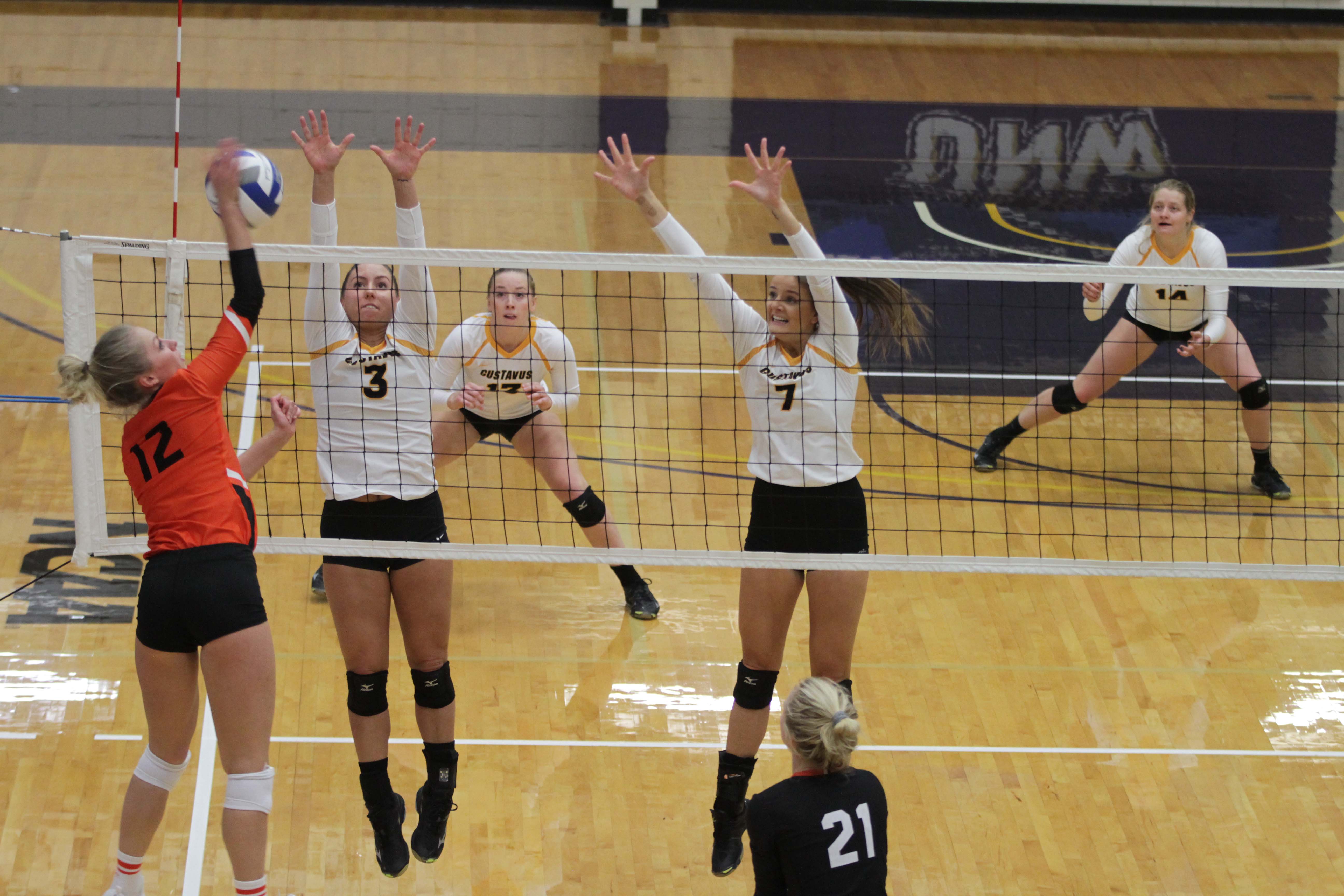 Volleyball wins regional championship: Gusties advance to Elite Eight ...