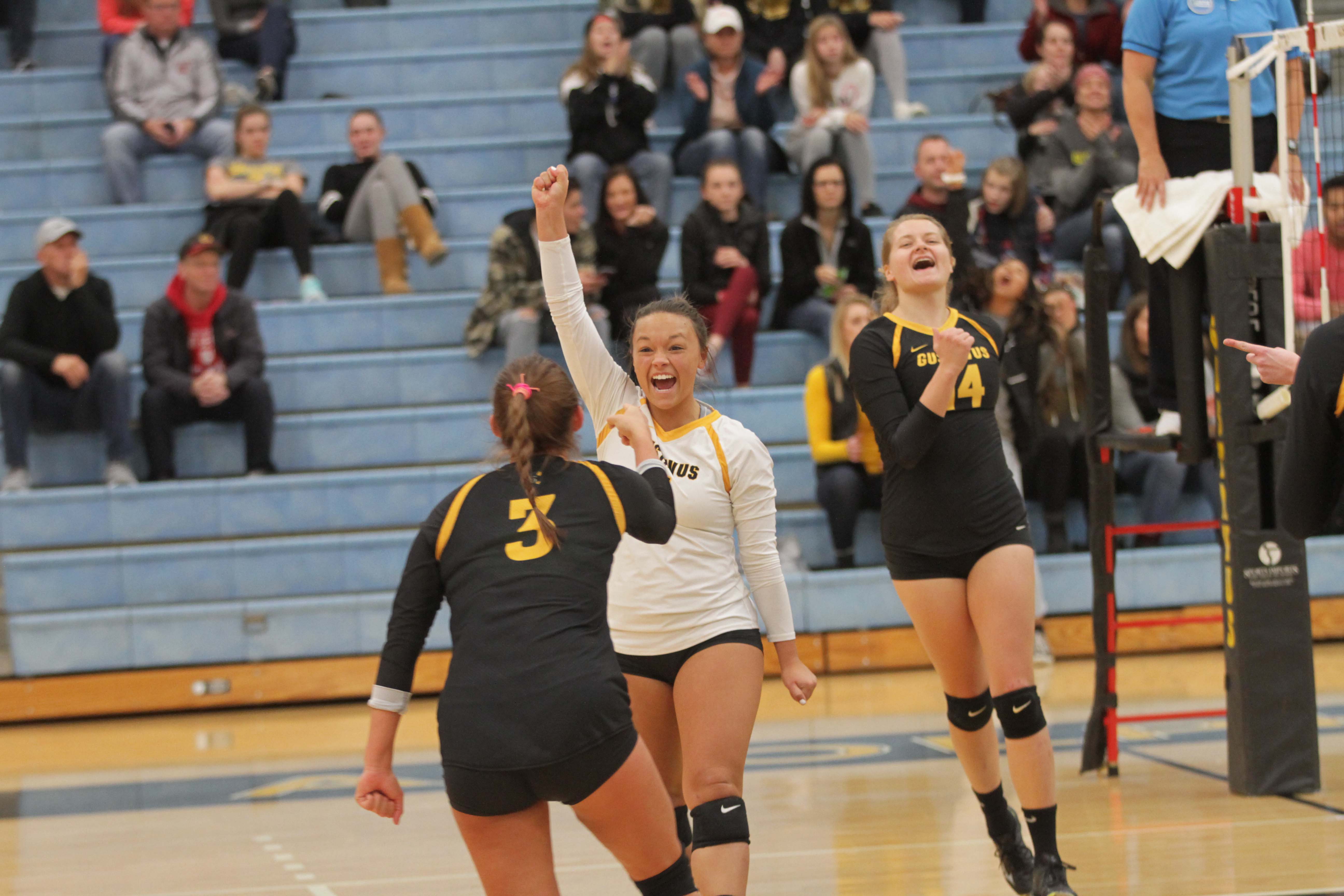Senior Brittany Leuthmers celebrates with her teammates after winning a point. Leuthmers recently earned the honor of MIAC Defensive Player of the Year for the second consecutive year.