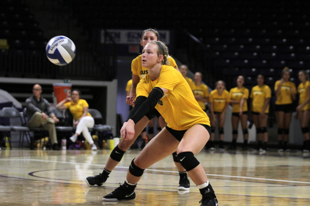 First-year Rhyan Herrmann sets up the ball for her teammates during a match this weekend. The Gusties went undefeated at the Elmhurst Tournament, starting the season with a 4-0.