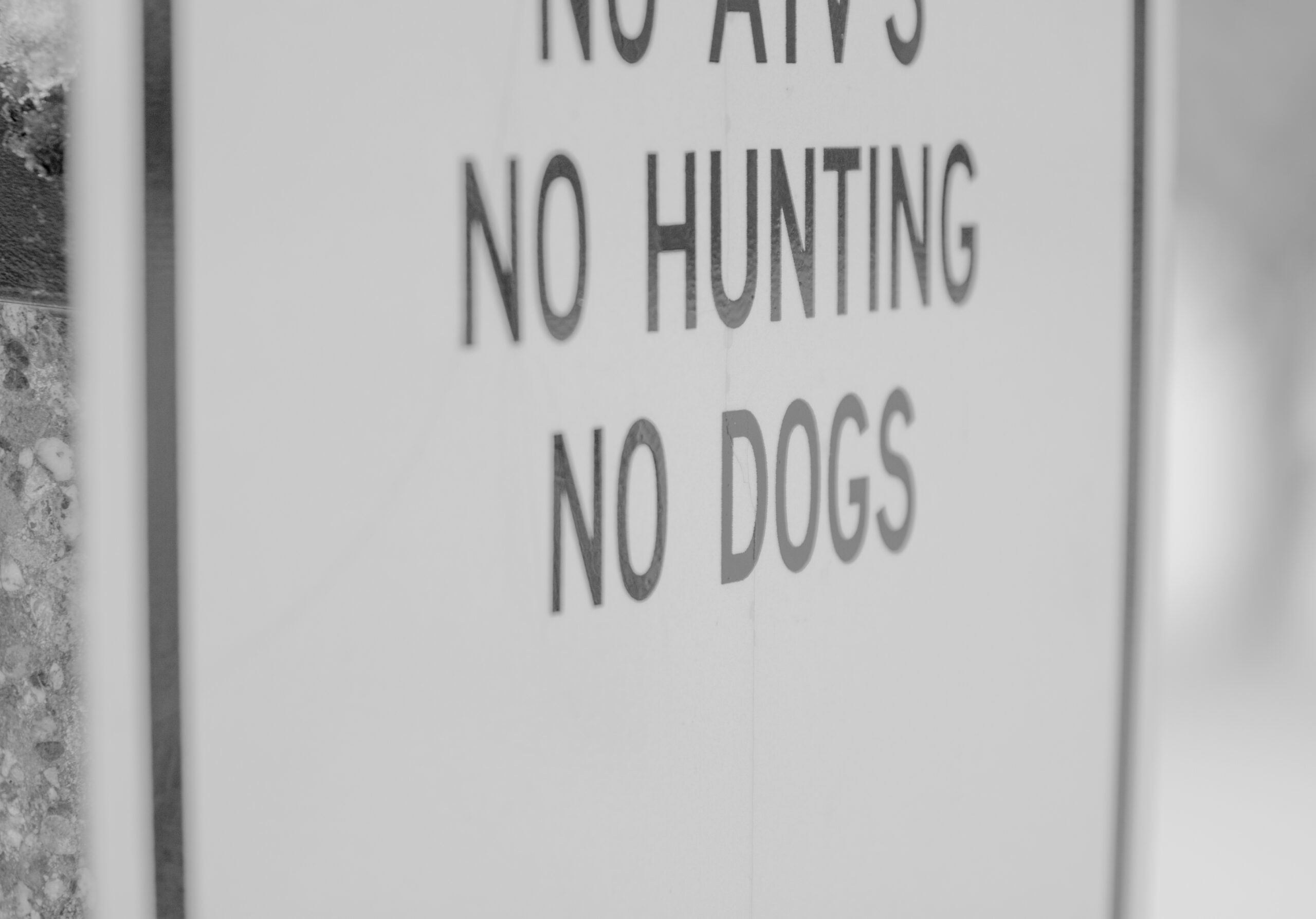 A dogless Arb